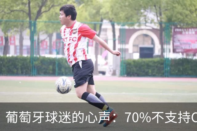 葡萄牙球迷的心声：70%不支持C罗重回国家队